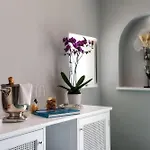 Miramalfi Hotel 5*